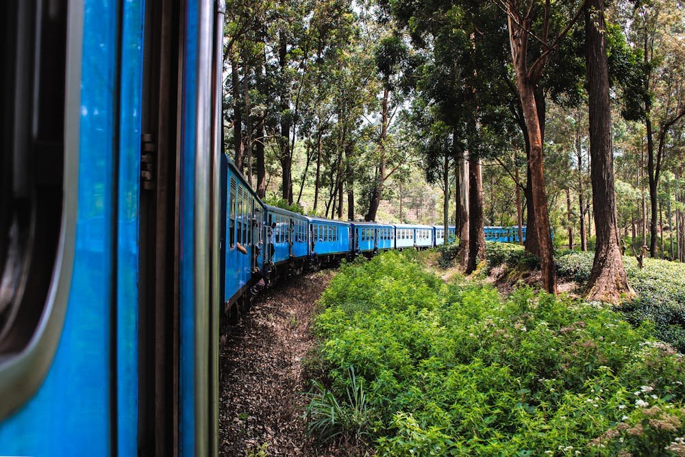 Sri Lanka Luxury Honeymoon Package