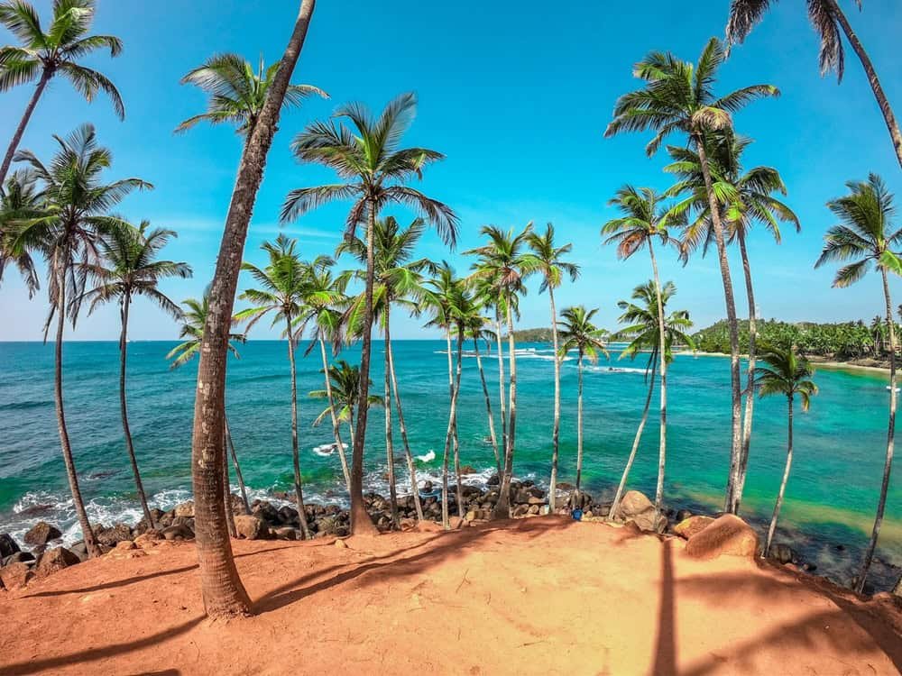 Why choose Sri Lanka honeymoon packages