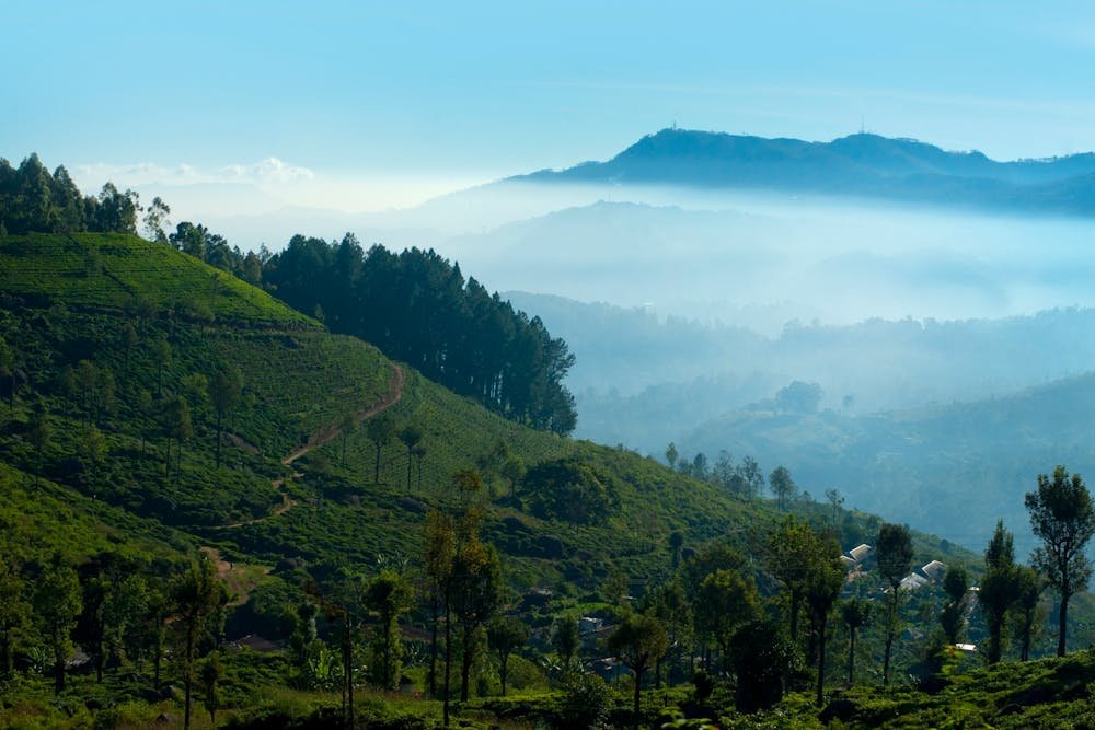 Sri Lanka Romantic Escape Package